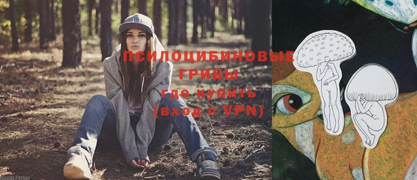 амф Белоозёрский