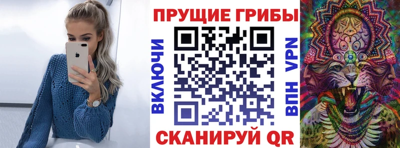OMG рабочий сайт  Верхний Тагил  Псилоцибиновые грибы GOLDEN TEACHER 